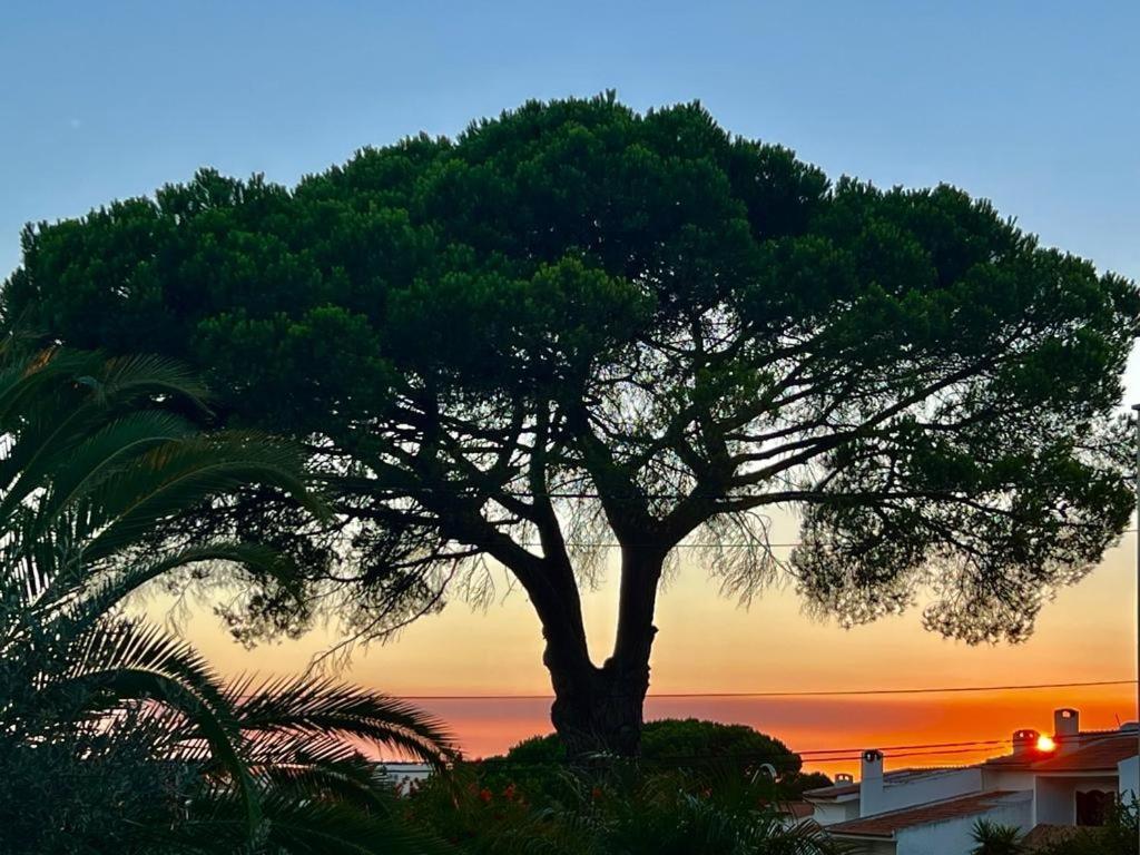 Vila De Sol Sesimbra Zewnętrze zdjęcie